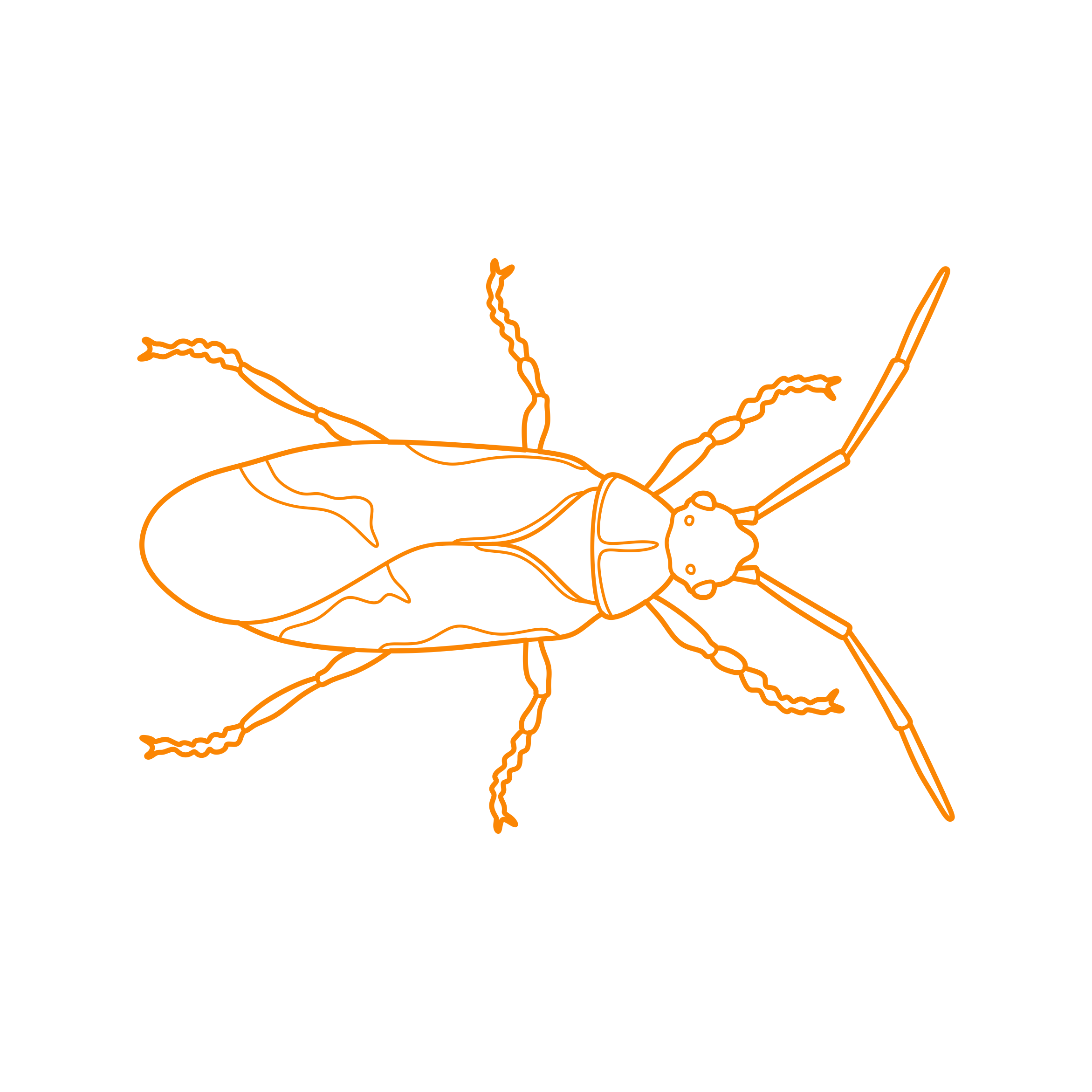 Animals Insects Boxelder Bug Contour Svg Vector Free Vectors